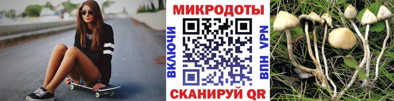 Галлюциногенные грибы Psilocybine cubensis  закладки  Сочи 